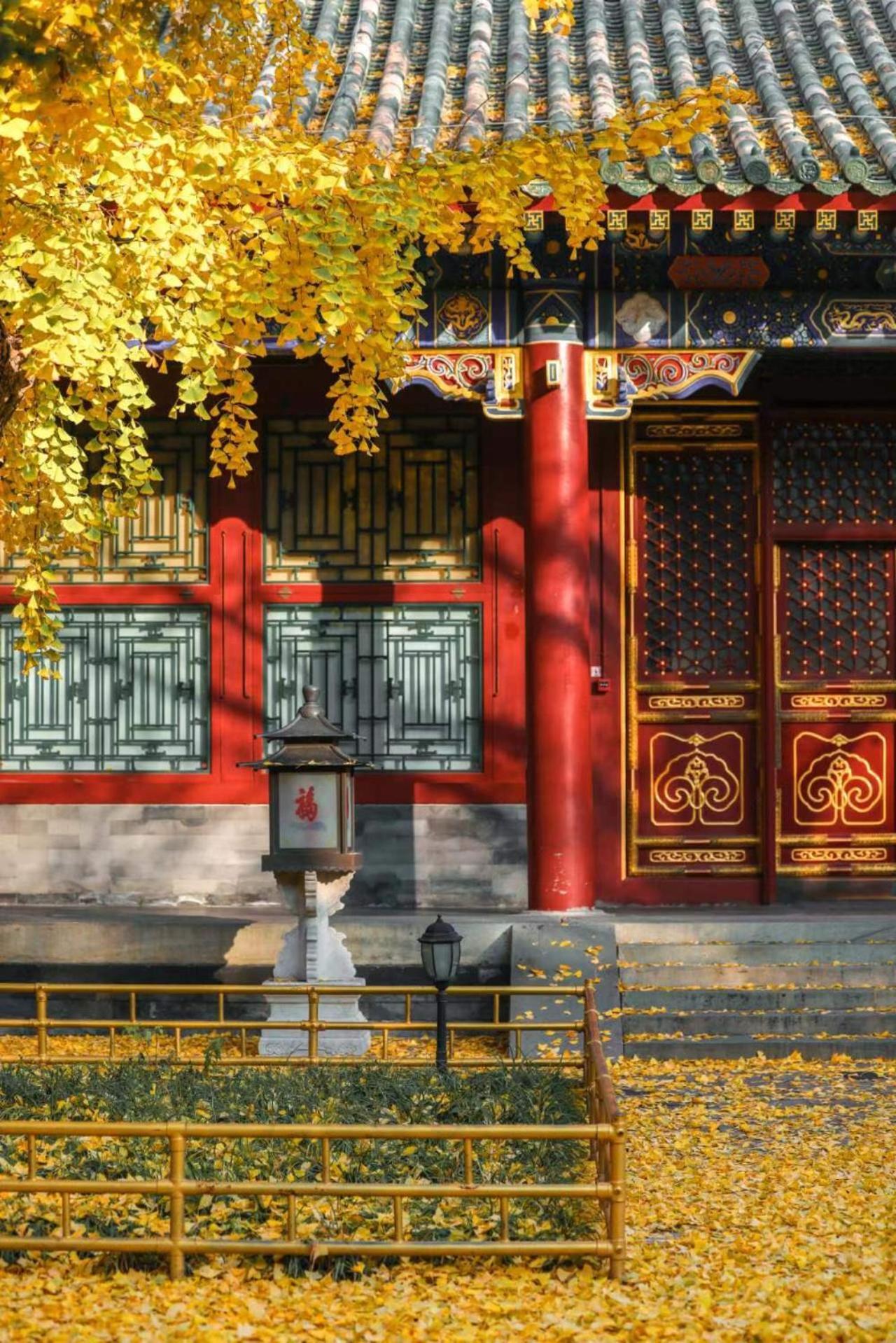 Nostalgia Hotel Near Prince Gong'S Mansion- Beihai Park, Tian'Anmen Square, Nanluoguxiang Hutong, Huguosi Hutong Snack Street, 5 Minutes Walk Away From Ping'Anli Subway Station, Free Ice Cream And Laundry Service,English Communication Well Peking Exteriér fotografie